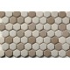 Mosaico Hexagonal Esmaltado Blend 66