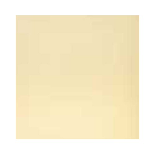 Baldosa Hidráulica Tradicional Nº 5 - 1m2