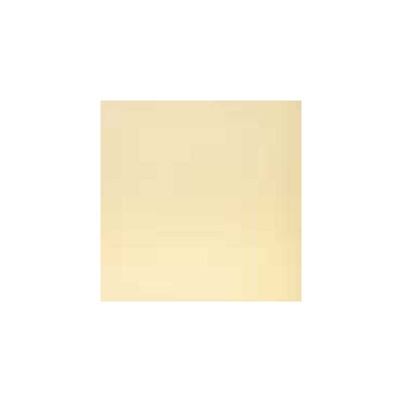 Baldosa Hidráulica Tradicional Nº 5