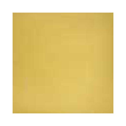 Baldosa Hidráulica Tradicional Nº 10 - 1m2